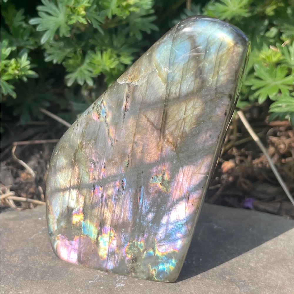 Gorgeous Labradorite Freeform
